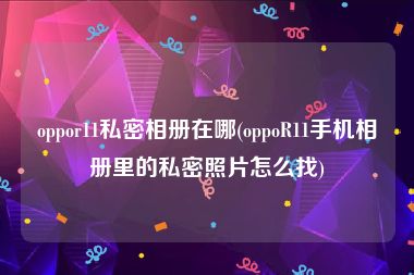 oppor11私密相册在哪(oppoR11手机相册里的私密照片怎么找)