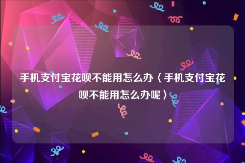 手机支付宝花呗不能用怎么办〈手机支付宝花呗不能用怎么办呢〉