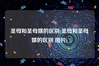 圣母和圣母婊的区别(圣母和圣母婊的区别 图片)