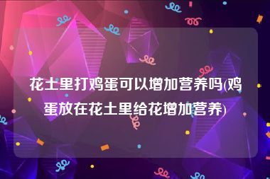 花土里打鸡蛋可以增加营养吗(鸡蛋放在花土里给花增加营养)