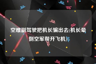 空难副驾驶把机长骗出去(机长晕倒空军帮开飞机)