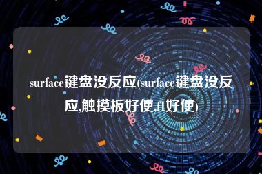 surface键盘没反应(surface键盘没反应,触摸板好使,f1好使)