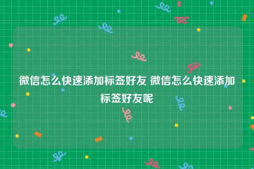 微信怎么快速添加标签好友 微信怎么快速添加标签好友呢