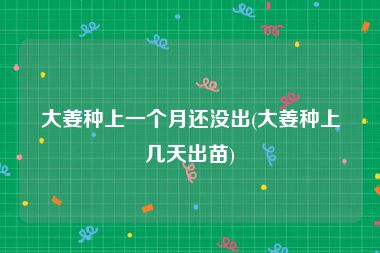大姜种上一个月还没出(大姜种上几天出苗)
