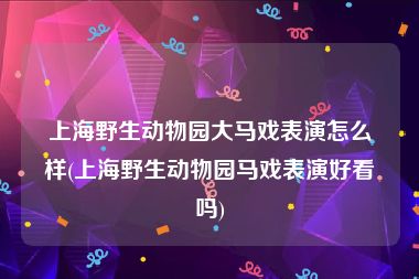 上海野生动物园大马戏表演怎么样(上海野生动物园马戏表演好看吗)
