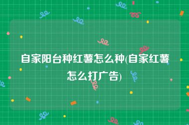 自家阳台种红薯怎么种(自家红薯怎么打广告)