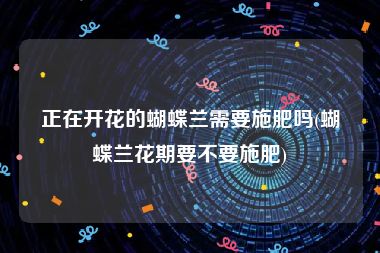 正在开花的蝴蝶兰需要施肥吗(蝴蝶兰花期要不要施肥)