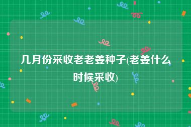 几月份采收老老姜种子(老姜什么时候采收)