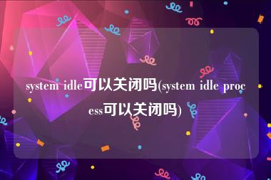 system idle可以关闭吗(system idle process可以关闭吗)