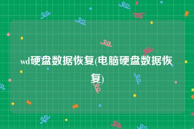 wd硬盘数据恢复(电脑硬盘数据恢复)