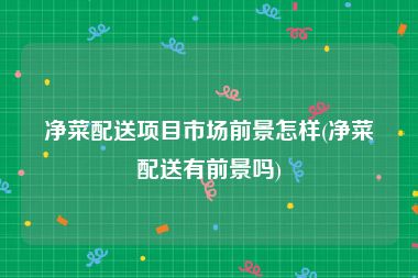 净菜配送项目市场前景怎样(净菜配送有前景吗)