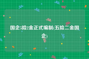 国企5险2金正式编制(五险二金国企)