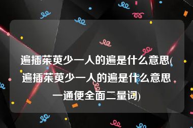 遍插茱萸少一人的遍是什么意思(遍插茱萸少一人的遍是什么意思一通便全面二量词)