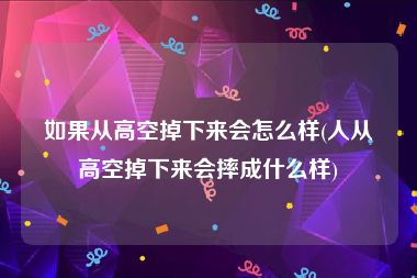 如果从高空掉下来会怎么样(人从高空掉下来会摔成什么样)