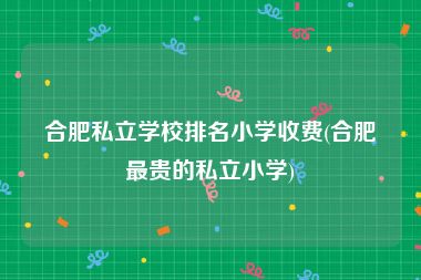 合肥私立学校排名小学收费(合肥最贵的私立小学)