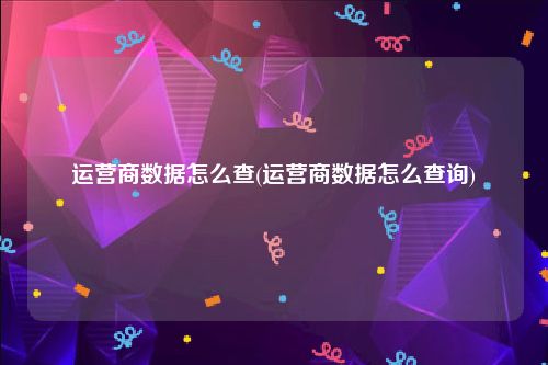 运营商数据怎么查(运营商数据怎么查询)