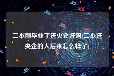 二本刚毕业了进央企好吗(二本进央企的人后来怎么样了)