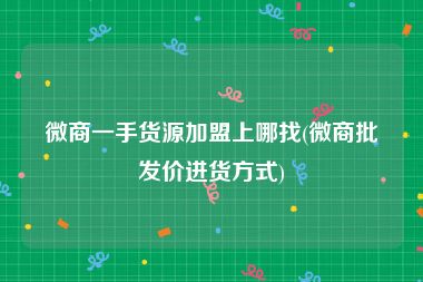 微商一手货源加盟上哪找(微商批发价进货方式)