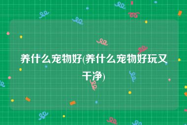 养什么宠物好(养什么宠物好玩又干净)
