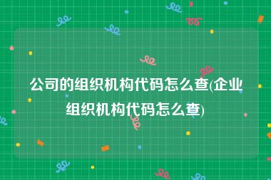 公司的组织机构代码怎么查(企业组织机构代码怎么查)