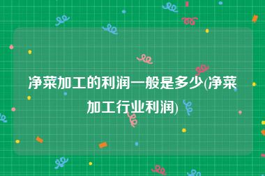 净菜加工的利润一般是多少(净菜加工行业利润)