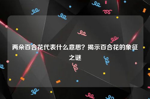 两朵百合花代表什么意思？揭示百合花的象征之谜