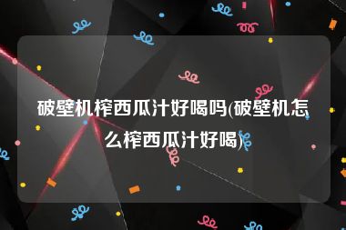 破壁机榨西瓜汁好喝吗(破壁机怎么榨西瓜汁好喝)