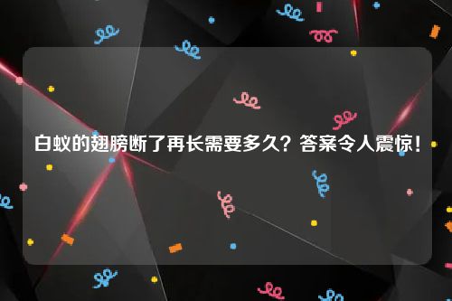 白蚁的翅膀断了再长需要多久？答案令人震惊！