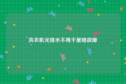 洗衣机光排水不甩干是啥故障