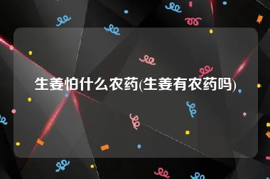 生姜怕什么农药(生姜有农药吗)
