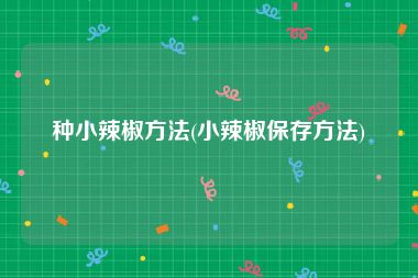 种小辣椒方法(小辣椒保存方法)