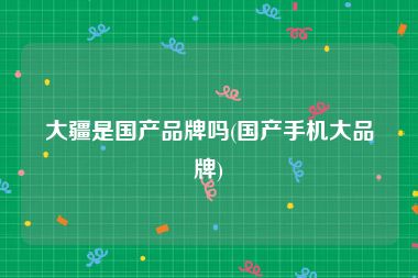 大疆是国产品牌吗(国产手机大品牌)