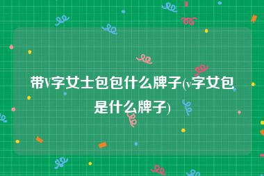 带V字女士包包什么牌子(v字女包是什么牌子)