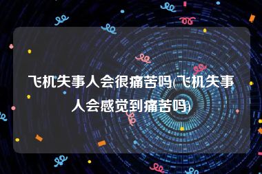 飞机失事人会很痛苦吗(飞机失事人会感觉到痛苦吗)