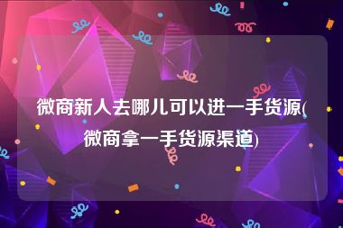 微商新人去哪儿可以进一手货源(微商拿一手货源渠道)