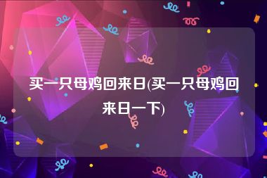 买一只母鸡回来日(买一只母鸡回来日一下)