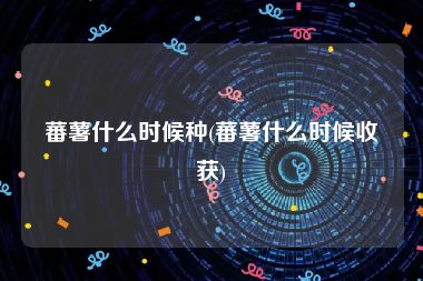 蕃薯什么时候种(蕃薯什么时候收获)