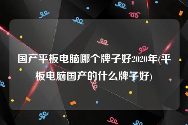 国产平板电脑哪个牌子好2020年(平板电脑国产的什么牌子好)