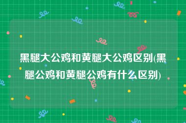 黑腿大公鸡和黄腿大公鸡区别(黑腿公鸡和黄腿公鸡有什么区别)
