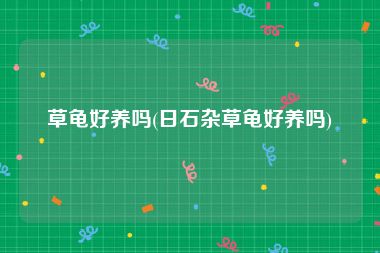 草龟好养吗(日石杂草龟好养吗)