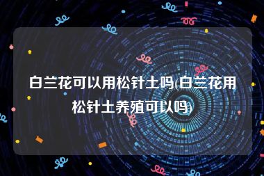 白兰花可以用松针土吗(白兰花用松针土养殖可以吗)