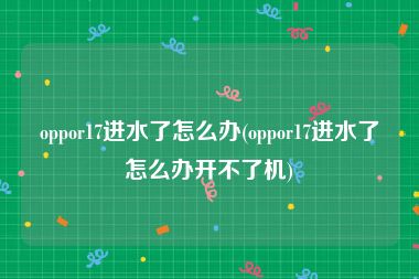 oppor17进水了怎么办(oppor17进水了怎么办开不了机)