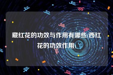 藏红花的功效与作用有哪些(西红花的功效作用)