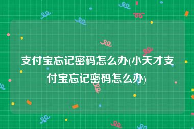 支付宝忘记密码怎么办(小天才支付宝忘记密码怎么办)