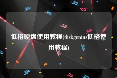 低格硬盘使用教程(diskgenius低格使用教程)