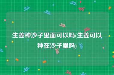 生姜种沙子里面可以吗(生姜可以种在沙子里吗)