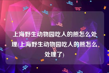 上海野生动物园吃人的熊怎么处理(上海野生动物园吃人的熊怎么处理了)