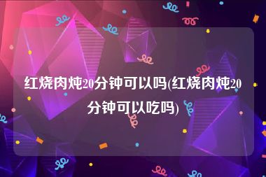 红烧肉炖20分钟可以吗(红烧肉炖20分钟可以吃吗)
