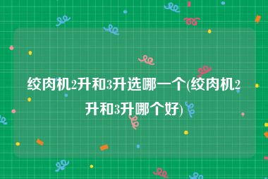 绞肉机2升和3升选哪一个(绞肉机2升和3升哪个好)