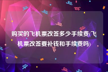 购买的飞机票改签多少手续费(飞机票改签要补钱和手续费吗)